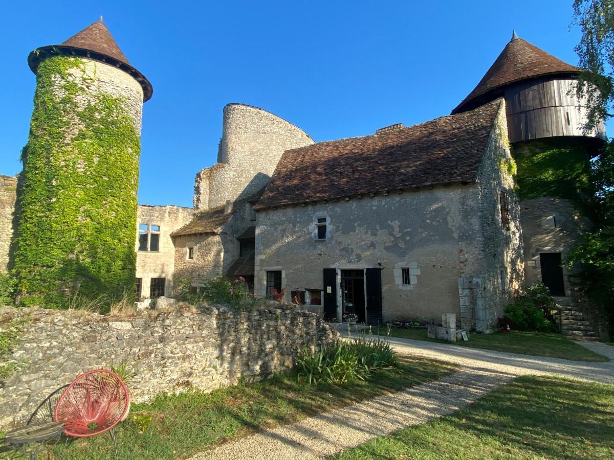 Chateau D'Ingrandes Ingrandes (Indre) Exterior foto