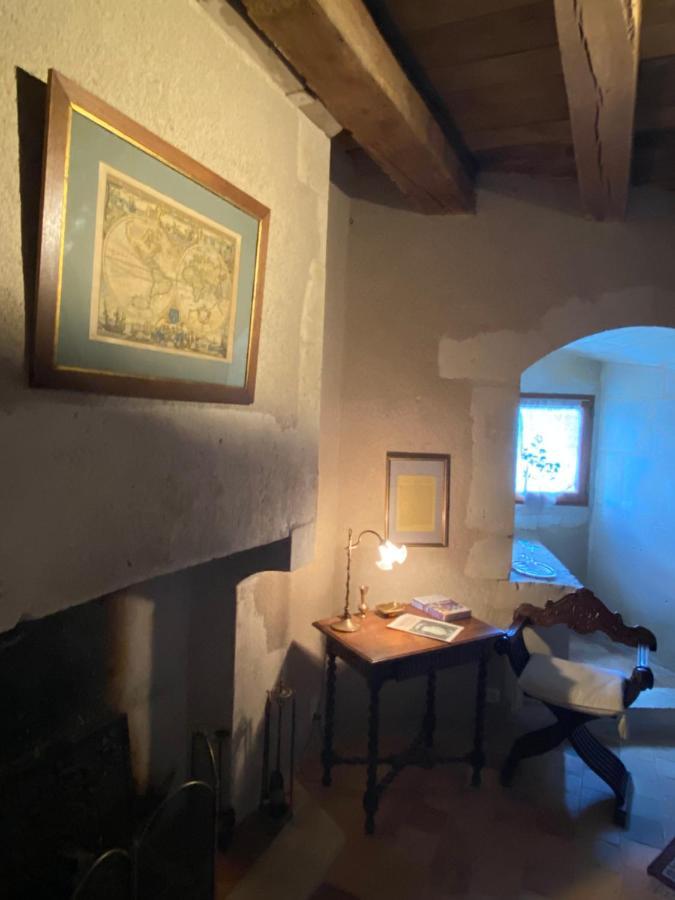 Chateau D'Ingrandes Ingrandes (Indre) Exterior foto