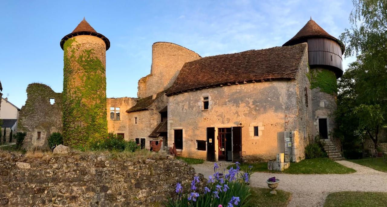 Chateau D'Ingrandes Ingrandes (Indre) Exterior foto