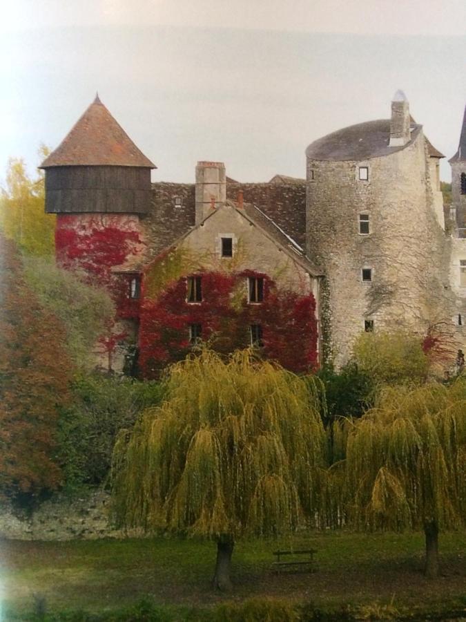 Chateau D'Ingrandes Ingrandes (Indre) Exterior foto