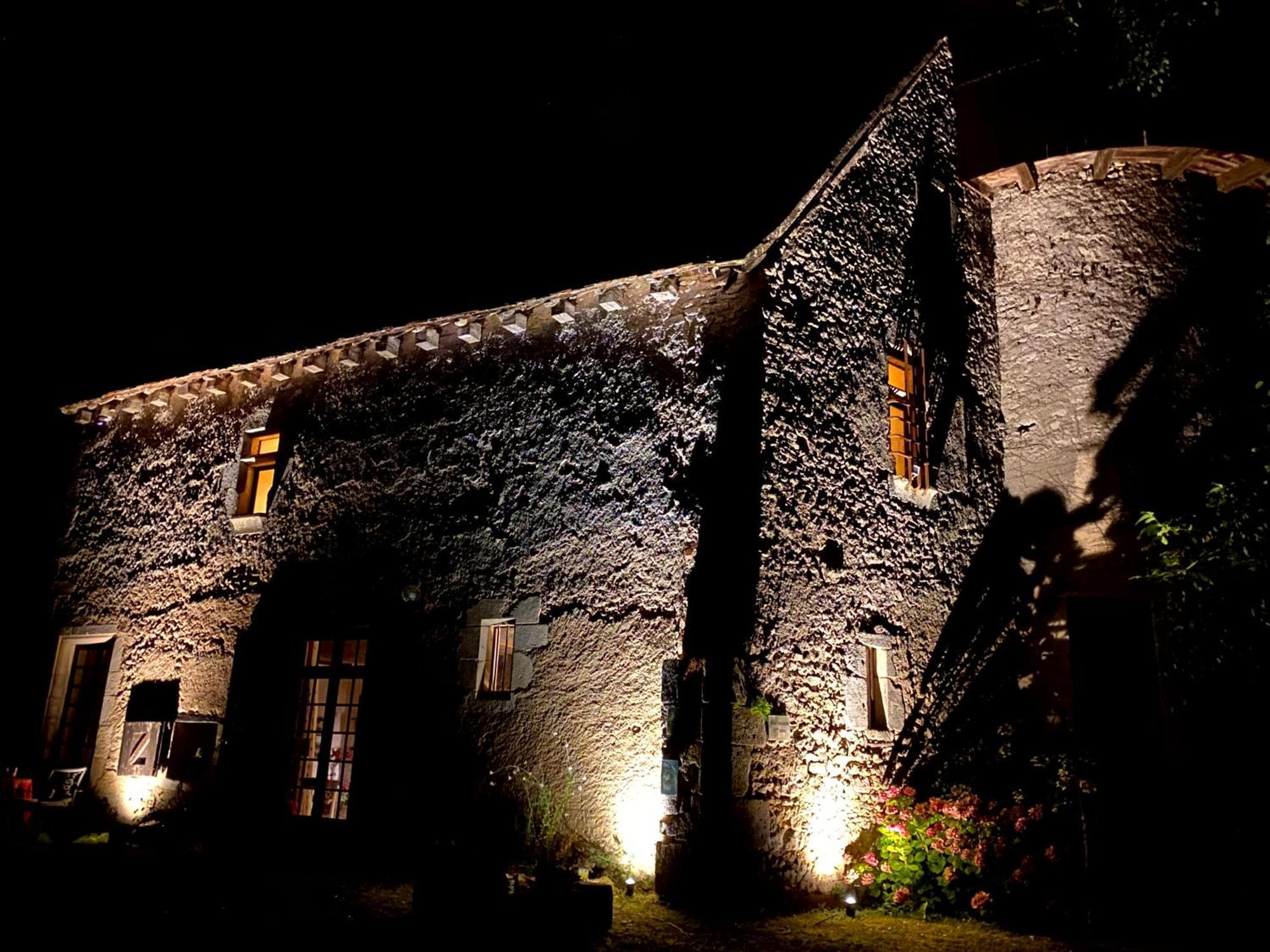 Chateau D'Ingrandes Ingrandes (Indre) Exterior foto
